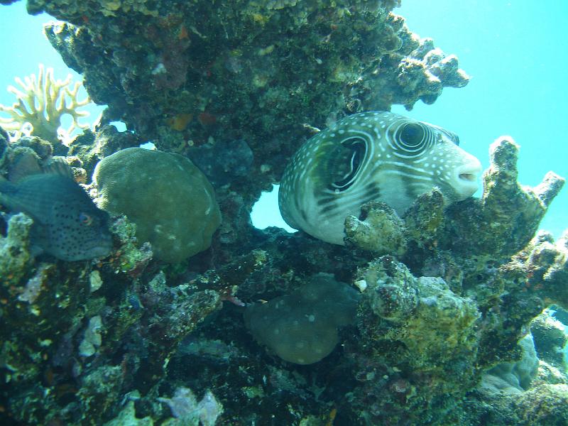 07 EG-01 026.JPG